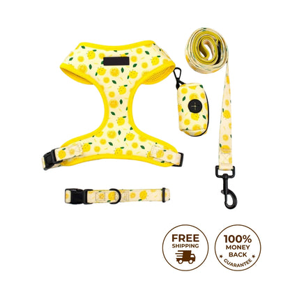 RuffNub™ Complete Dog Harness Set