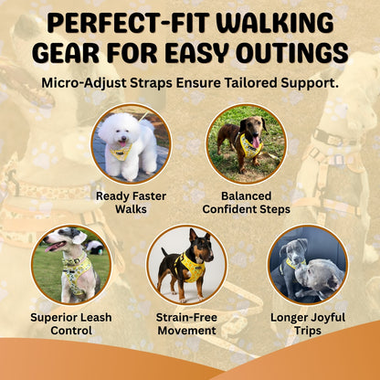 RuffNub™ Complete Dog Harness Set