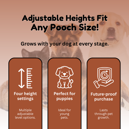RuffNub™ Elevated Pet Bowls