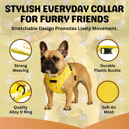 RuffNub™ Complete Dog Harness Set